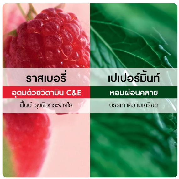 Raspberry & Peppermint Energizing Bath & Shower Gel 2