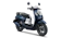 HONDA HONDA New Honda Scoopy 1
