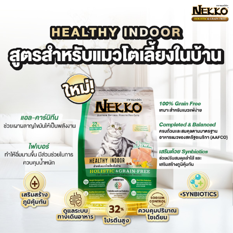 HEALTHY INDOOR สูตรสำหรับแมวโตเลี้ยงในบ้าน 2