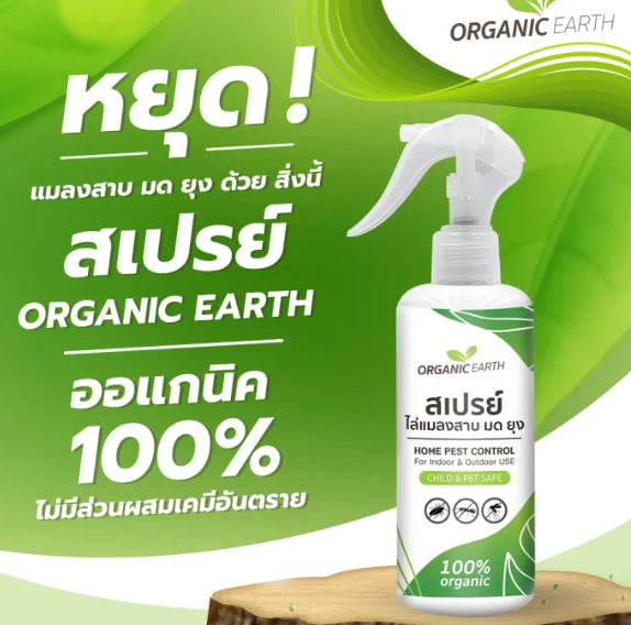 Home Pest Control 2