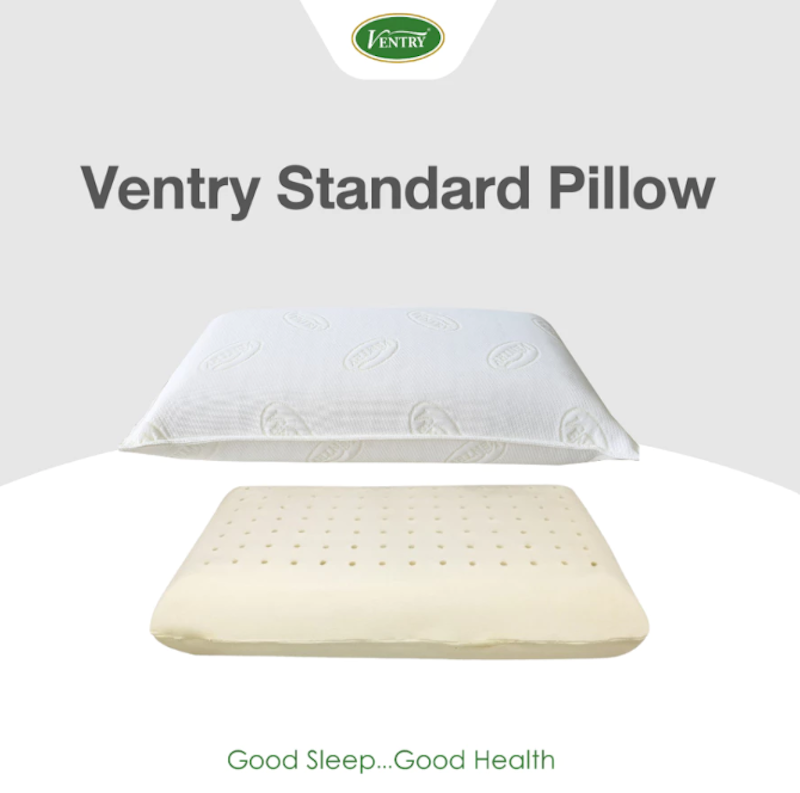 หมอนยางพารา Standard Pillow 2