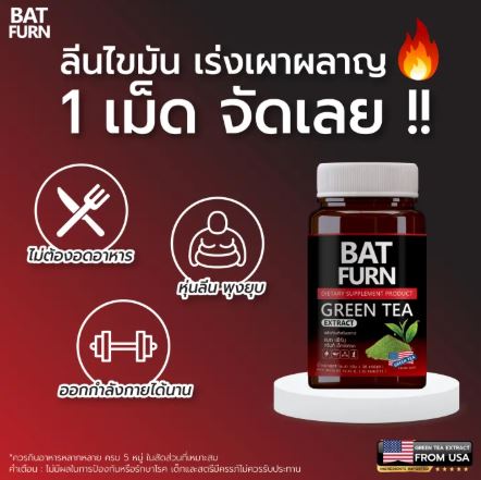 FURN Green Tea Extract  4