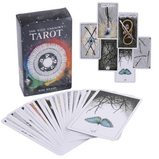 The Wild Unknown Tarot 1