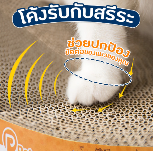 ที่ลับเล็บแมว 2
