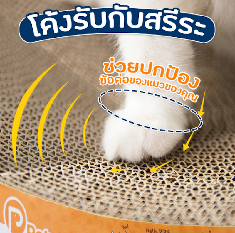 ที่ลับเล็บแมว 2