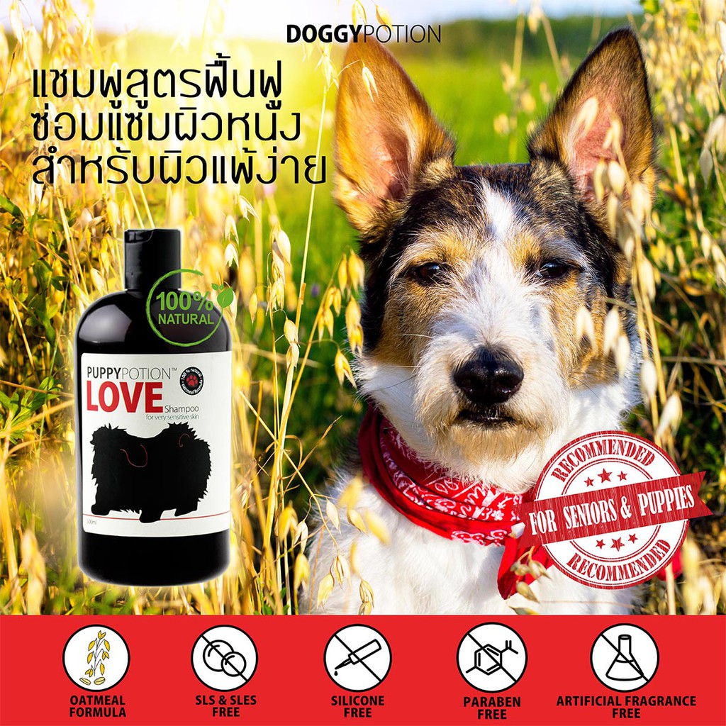 Love Shampoo สูตรสำหรับผิวแพ้ง่าย 4