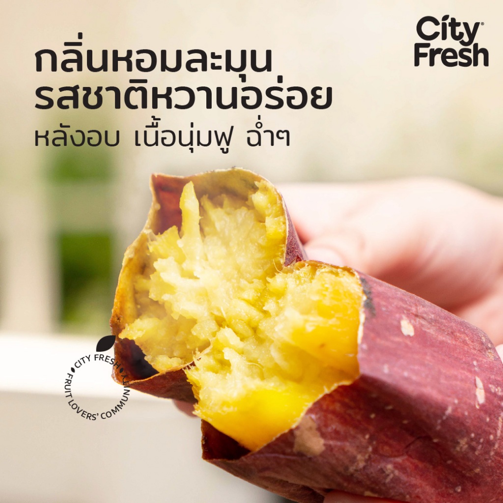มันหวานญี่ปุ่น เบนิฮารุกะ 3