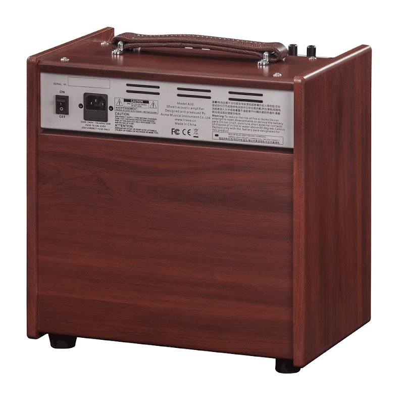 Pure Acoustic Amp 2