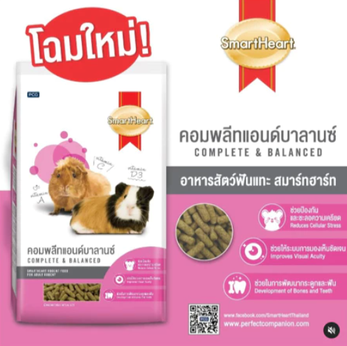อาหารหนูแกสบี้ สัตว์ฟันแทะ 2
