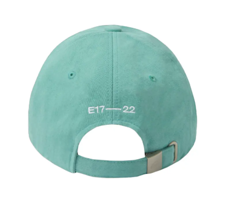 NEW LOGO EMIS CAP 3