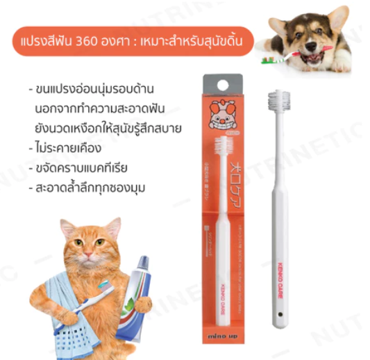 แปรงสีฟันหมาแมว 3