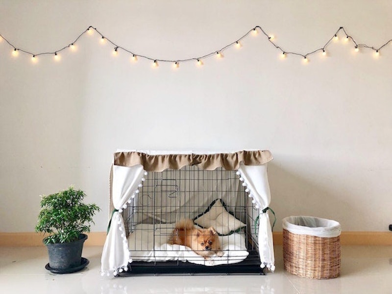 โรงแรมสุนัข เชียงใหม่ Better Pet Care 2