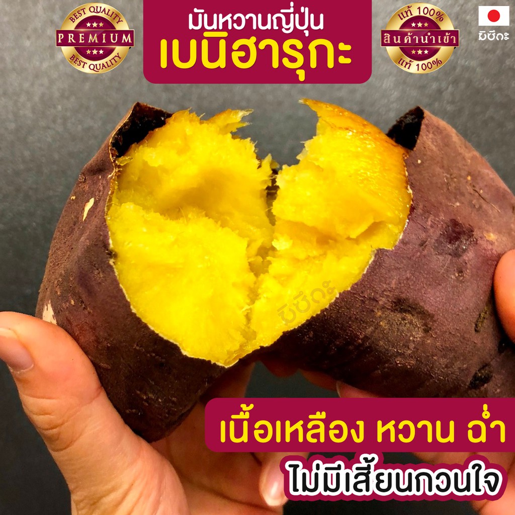 มันหวานญี่ปุ่น ไซซ์มาตรฐาน 3