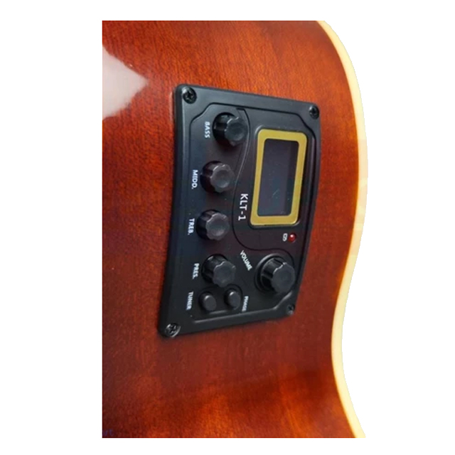 B10 Acoustic Bass 4 Strings  3