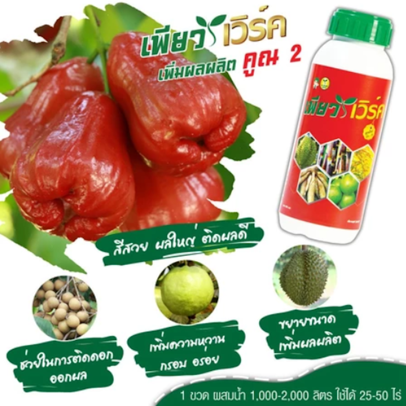 ชุดบำรุงต้น 3