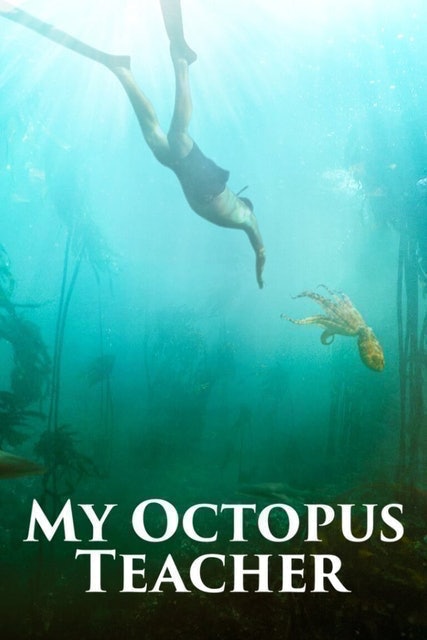 My Octopus Teacher 1