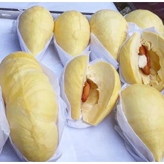 ของฝากศรีสะเกษ ทุเรียนภูเขาไฟเกรด A