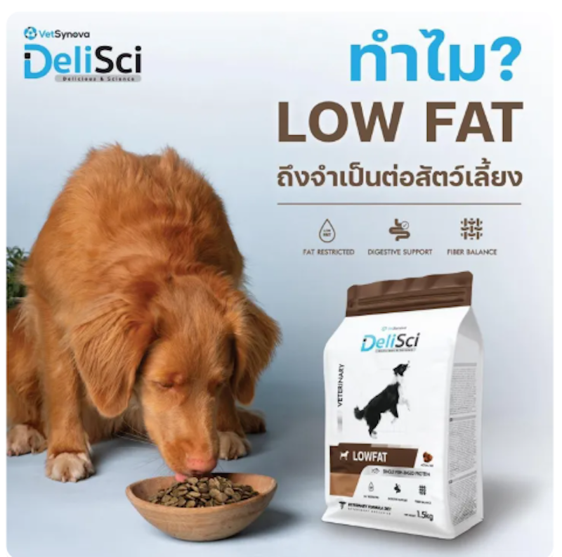 Dog Low Fat อาหารจำกัดปริมาณโปรตีน 3