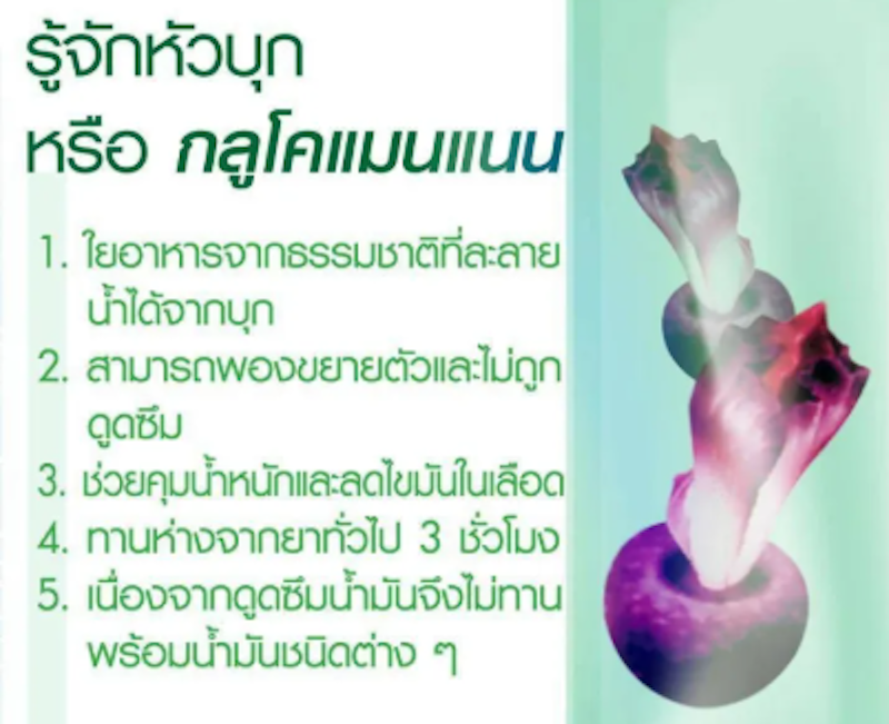 Glucomannan ใยอาหารชนิดแคปซูล 2