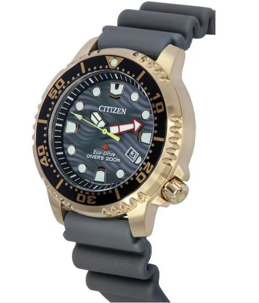  Eco-Drive Promaster Diver Men's Watch 2