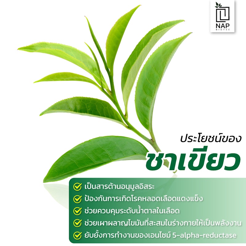 Green Tea Extract Polyphenol 4