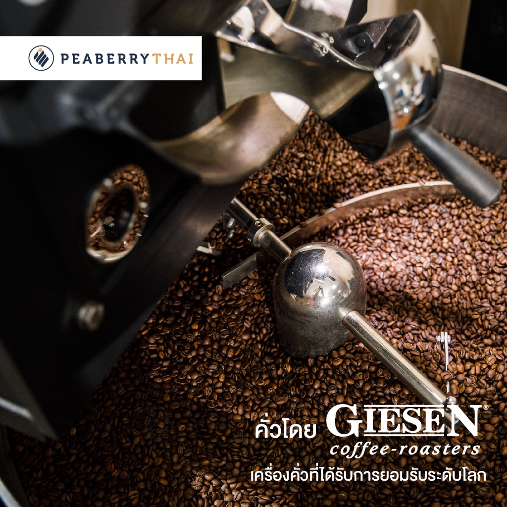 Colombia Decaffeinate 2