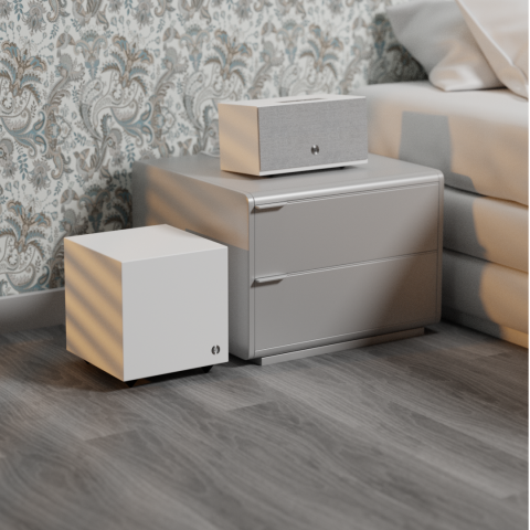 Powered Subwoofer Speaker 2