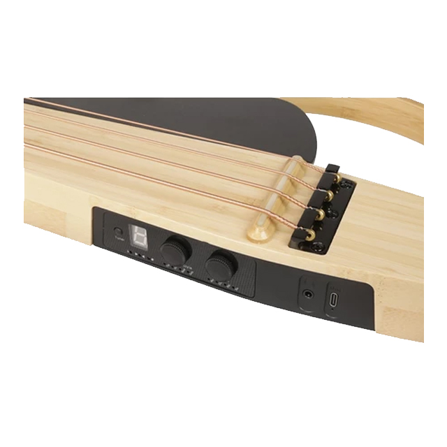 NBSG Bass Acoustic  3