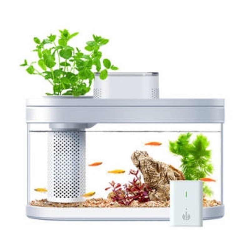 โหลปลา Geometry Fish Tank Pro 1
