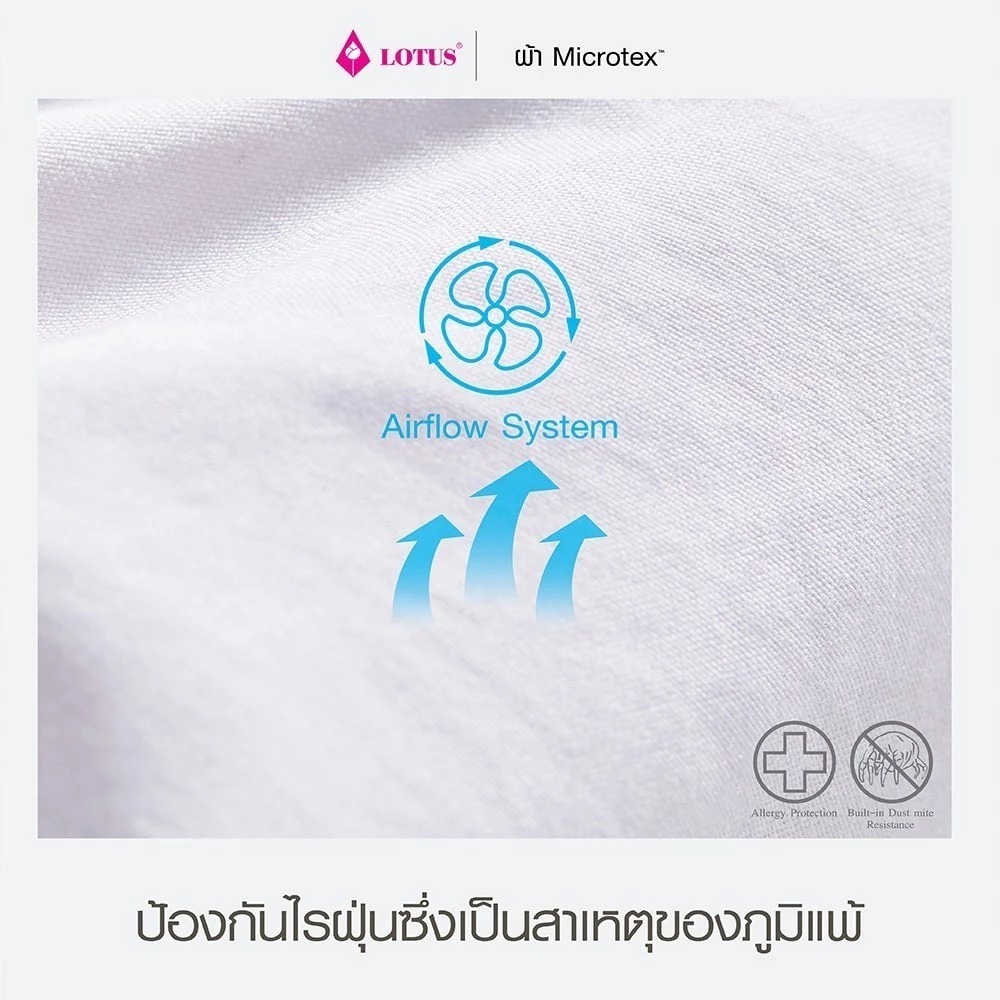 ผ้าปูที่นอน Impression Stripie 2