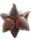 ยิ่งเจริญ แหนมหมู 1