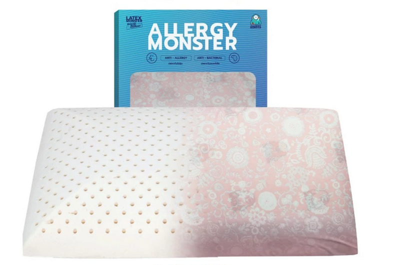 Anti Allergy Pillow Case 1