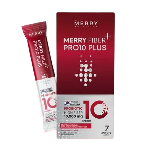 Fiber PRO10 Plus 1