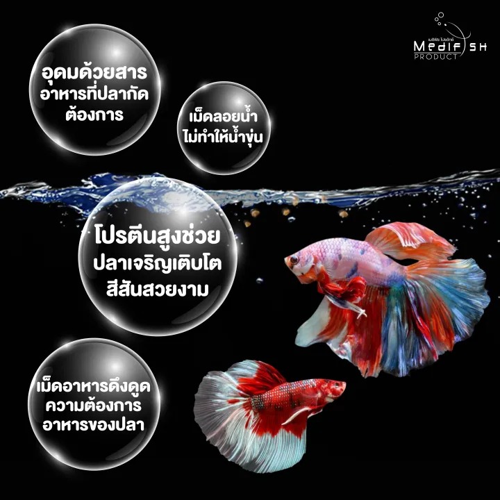  อาหารปลากัด ทุกสายพันธุ์ 2