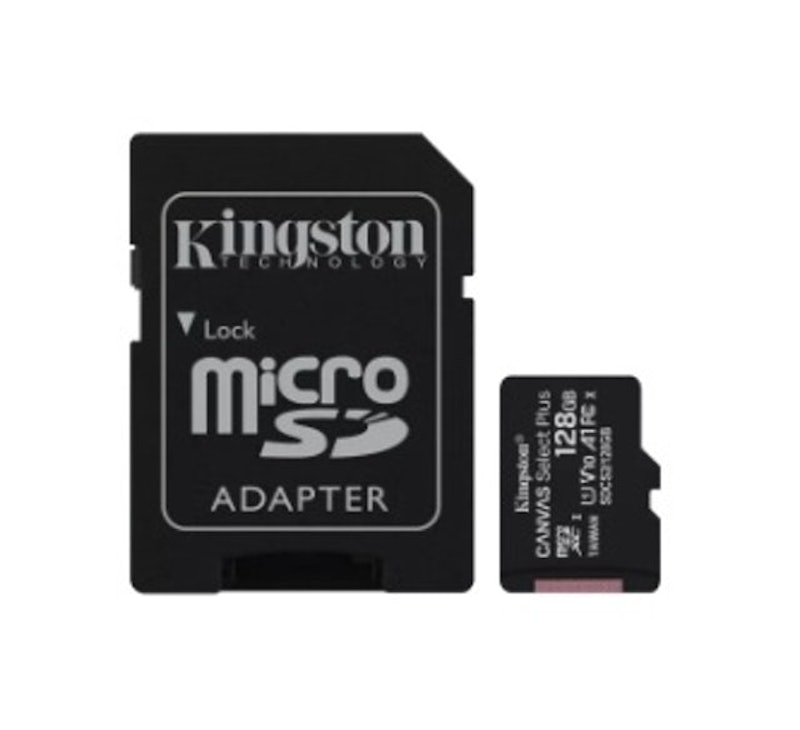 Micro SD Card Class 10 รุ่น Canvas Select Plus 1