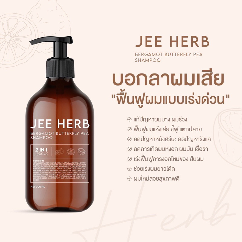 มะกรูดอัญชัน 2