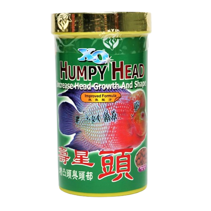 XO Humpy Head 1