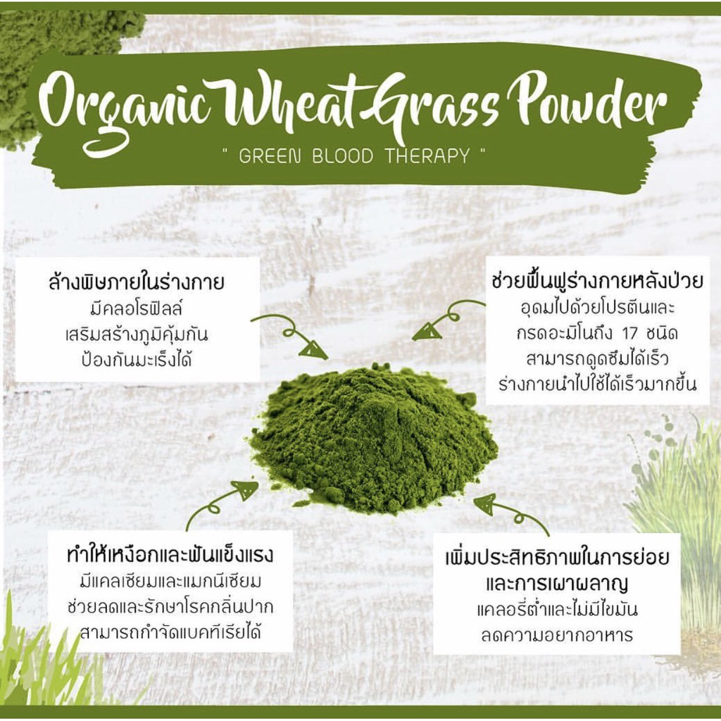 ผงต้นอ่อนข้าวสาลี Organic Wheat Grass Powder 2