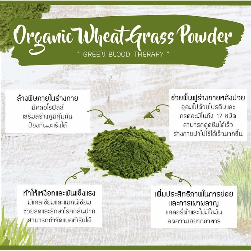 ผงต้นอ่อนข้าวสาลี Organic Wheat Grass Powder 2
