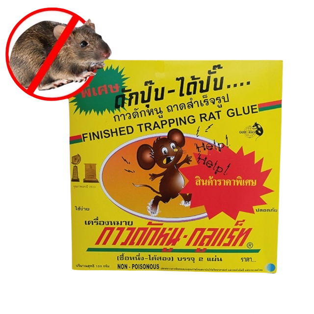 10 กาวดักหนู ยี่ห้อไหนดี ปี 2026 ที่ดักหนู 2