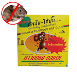 10 กาวดักหนู ยี่ห้อไหนดี ปี 2026 ที่ดักหนู 2