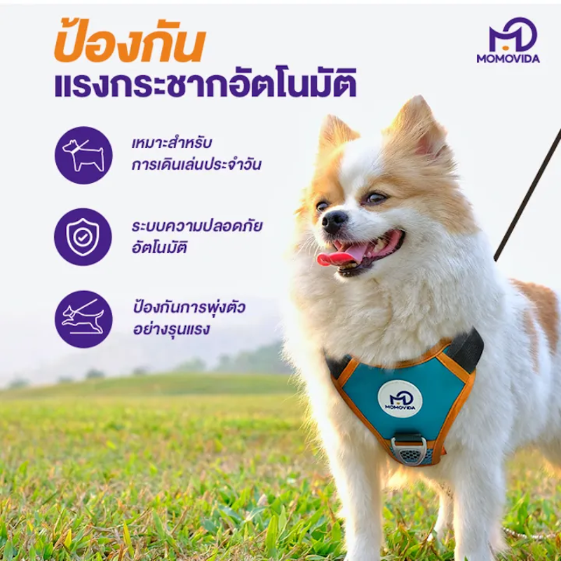 สายจูงสำหรับสัตว์เลี้ยง D-L 2
