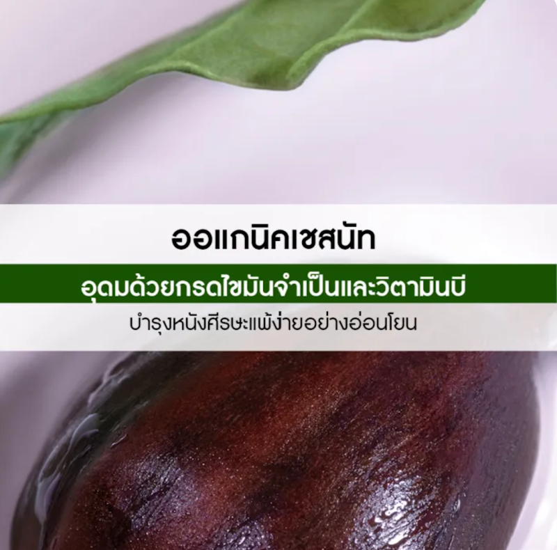Gentle With Organic Chestnut Milk Gentle Nourishing Shampoo แชมพูสูตรอ่อนโยน 2