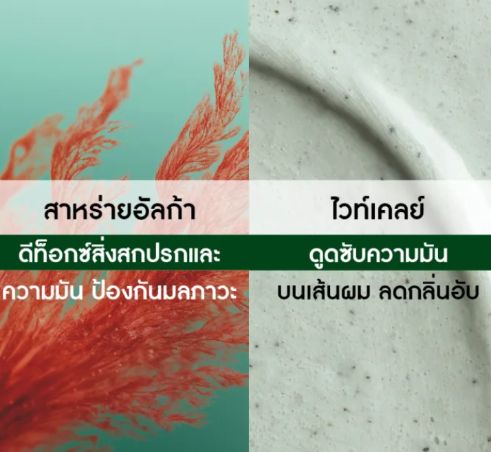 มาส์กและสครับ Pure Detox 2-in-1 Mask Pre-Shampoo 3