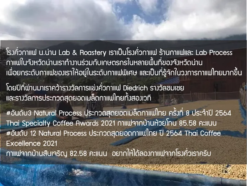 เมล็ดกาแฟพิเศษน่าน Rank 12 Whisky Rum Raisin Yeast Natural Process 4