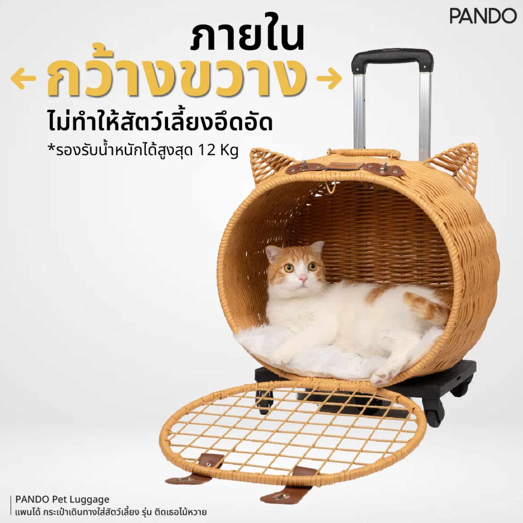 Pet Luggage 3