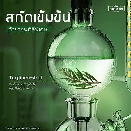 Tea Tree Facial Cleanser  3