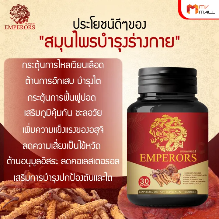 ถั่งเช่าสกัดผสมเห็ดหลินจือ 3