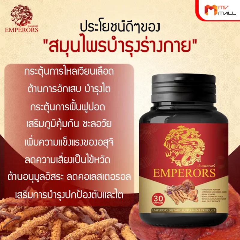 ถั่งเช่าสกัดผสมเห็ดหลินจือ 3