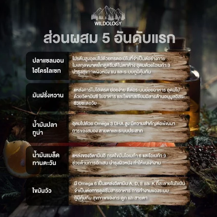 โฮลิสติกเกรนฟรี สำหรับสุนัขสูงวัย 3